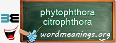 WordMeaning blackboard for phytophthora citrophthora